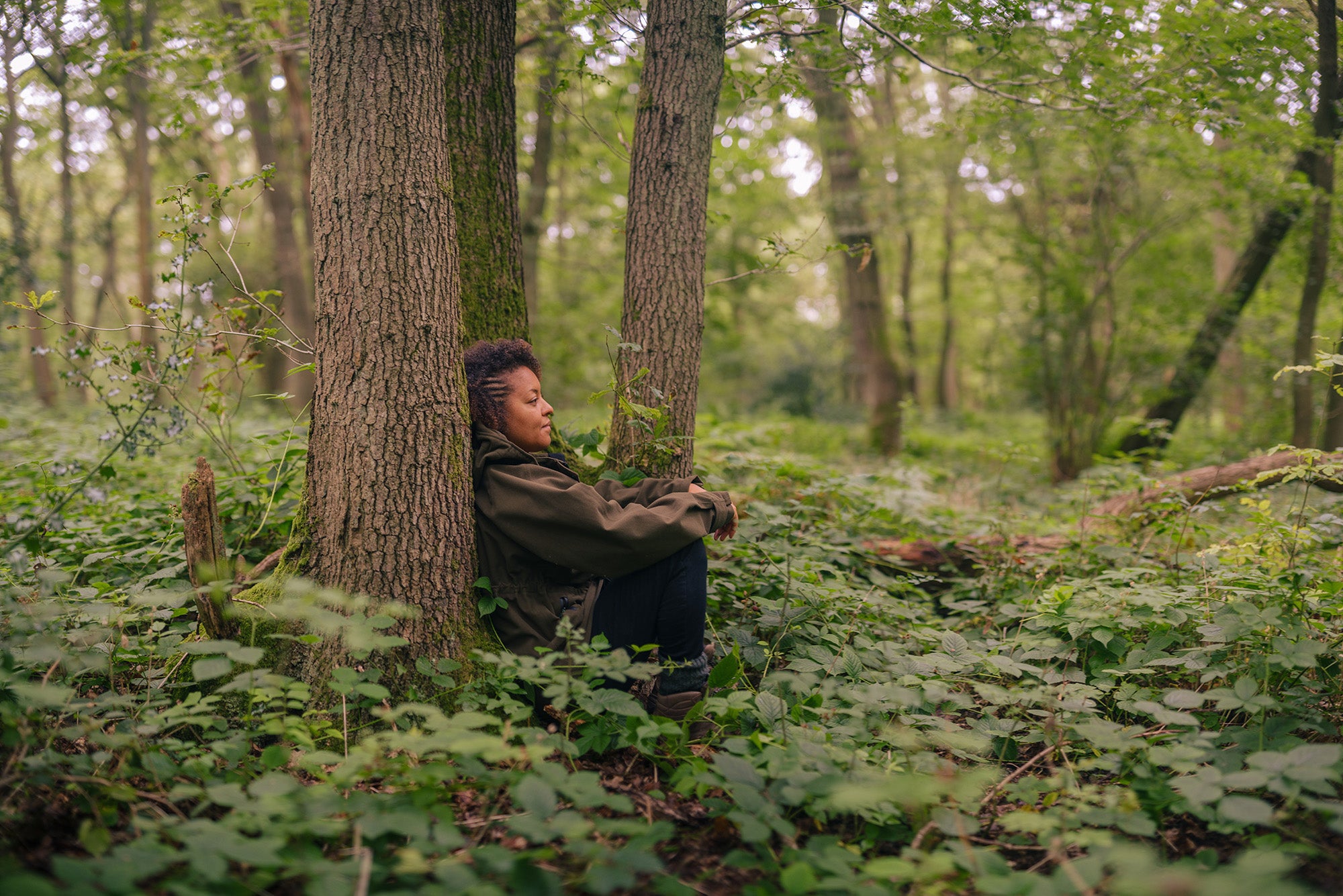 Images of Beth Collier walking through woodland surrounded by rich green ferns.
