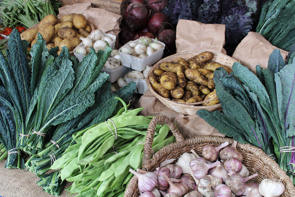 Image of a handful of lush and grean meadow plants (grasses, clover etc.)