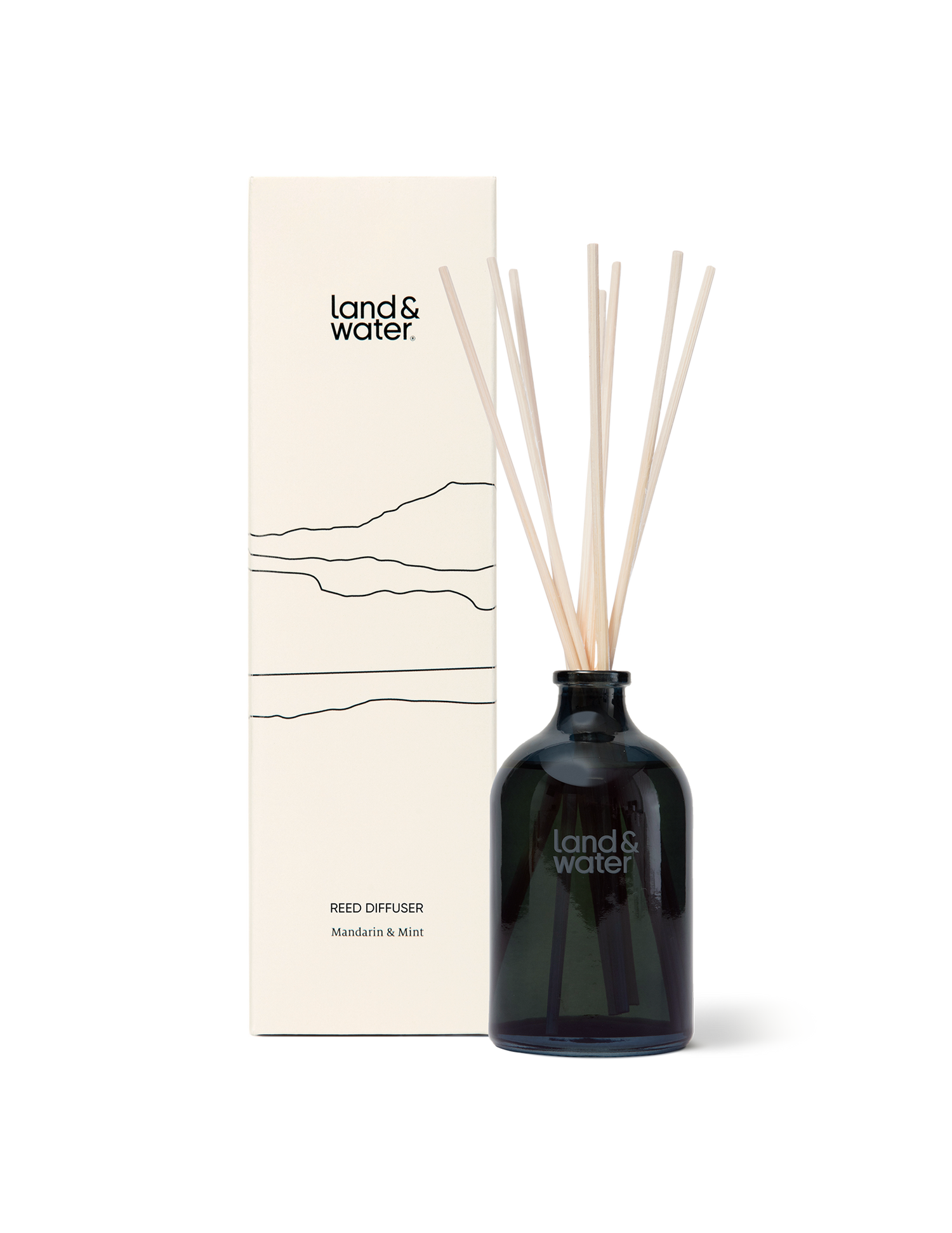A mandarin and mint reed diffuser, reeds and packaging.
