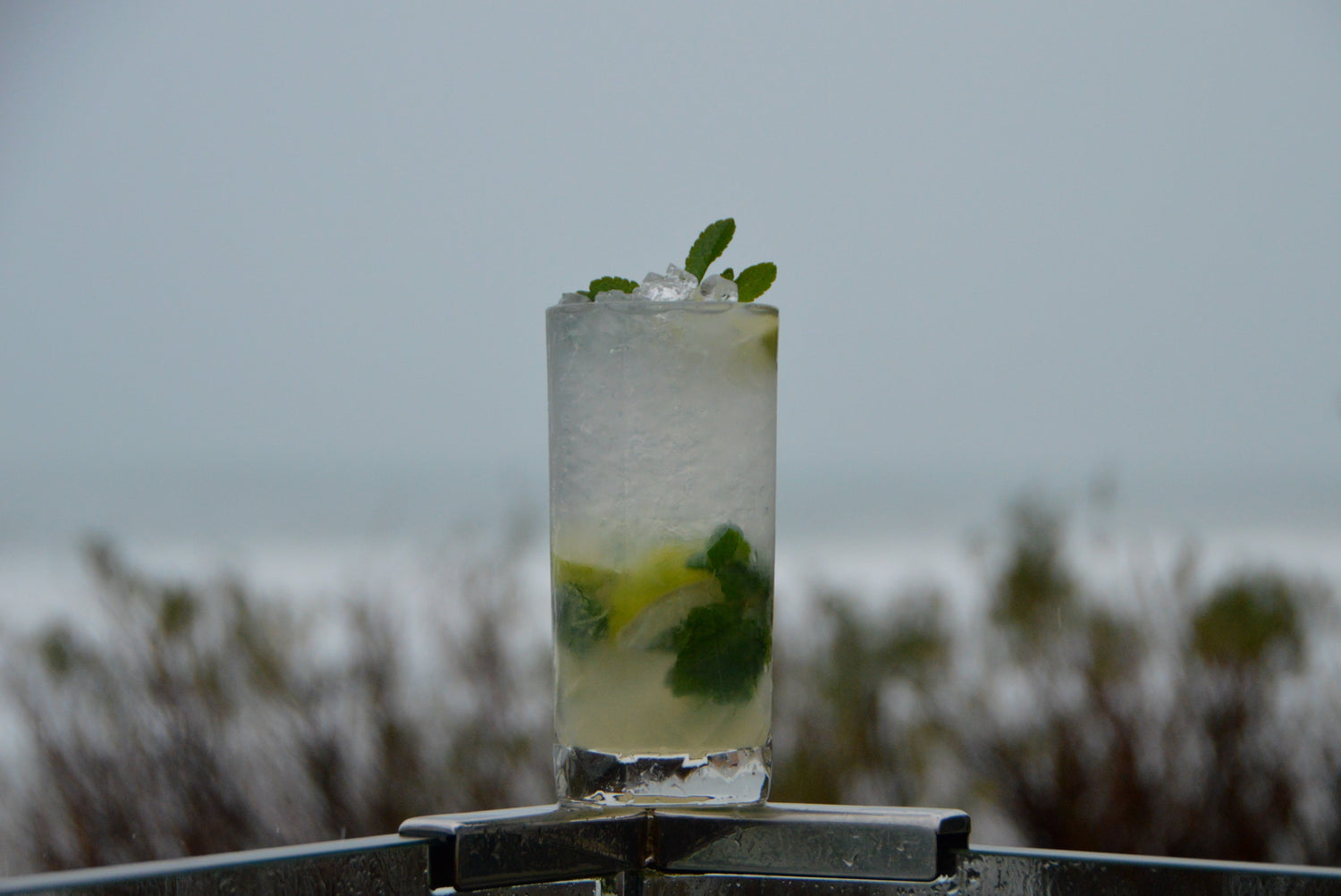 MAKE: A LAND&WATER COCKTAIL