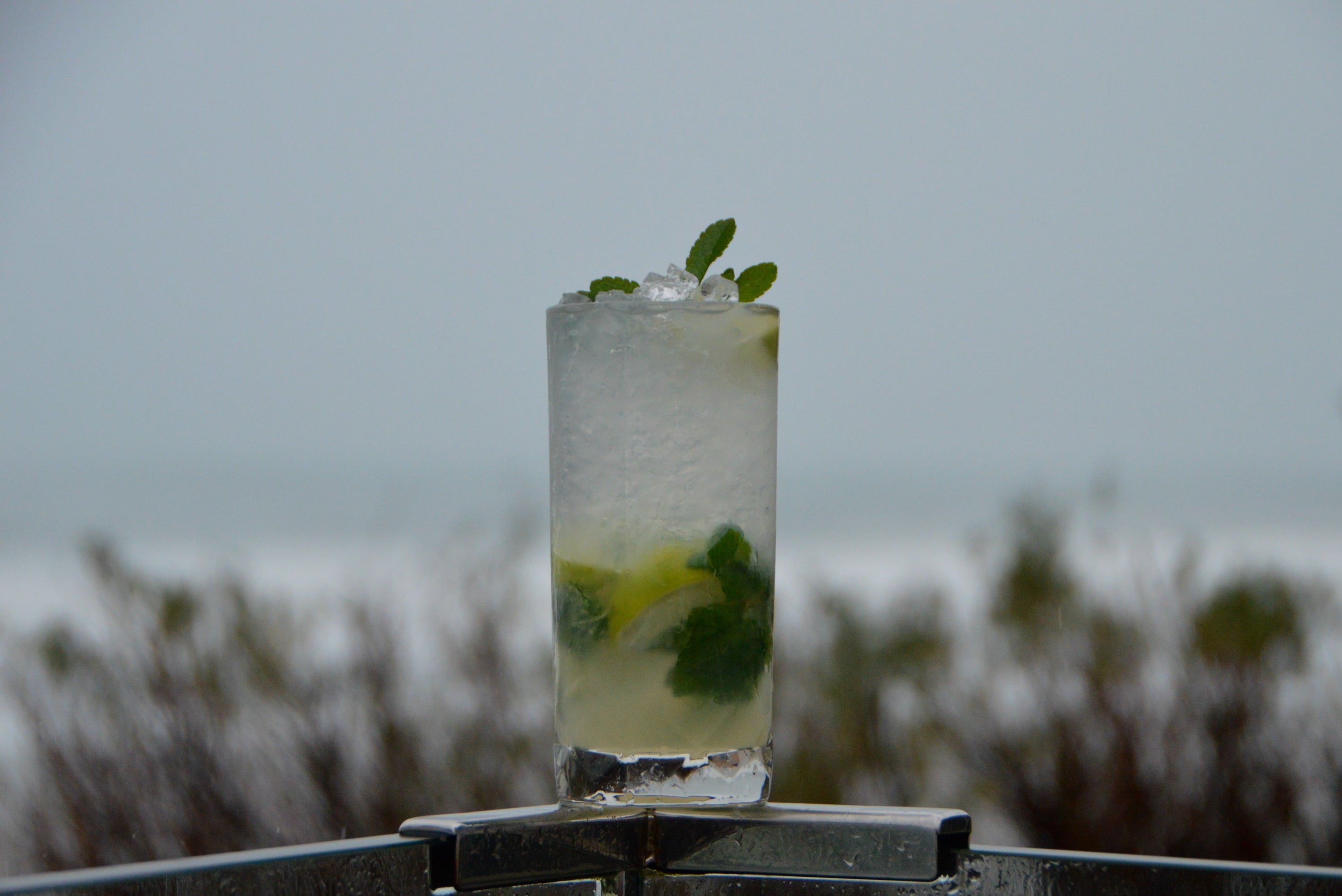 MAKE: A LAND&WATER COCKTAIL