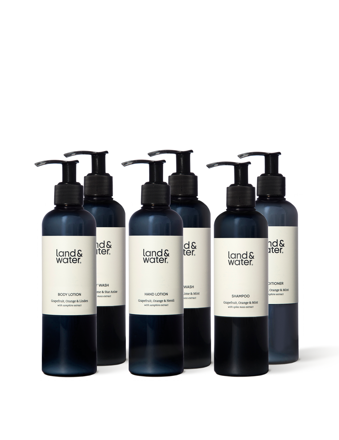Hand wash, hand lotion, body wash, body lotion, shampoo, conditioner.
