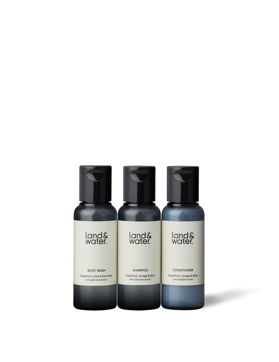 Three travel-sized bottles of body wash, shampoo and conditioner. 